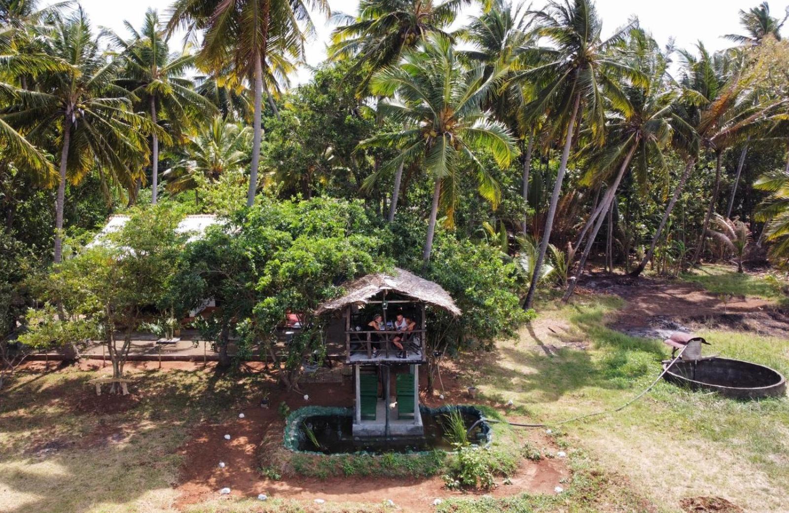 Lake Wind Habarana Exterior foto